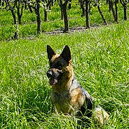 Sylia participe au concours pour gagner de l'argent avec cette photo :