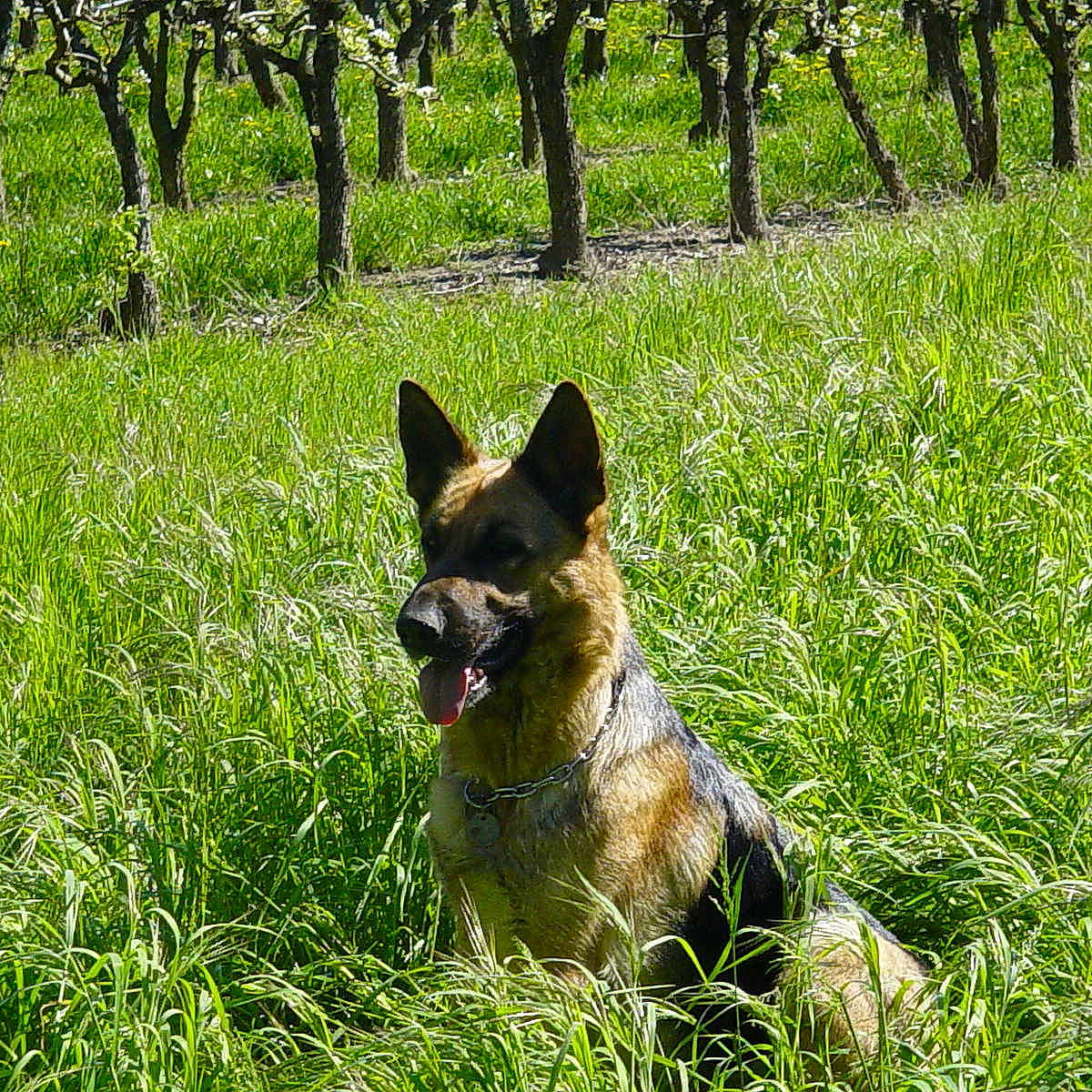 Sylia participe au concours pour gagner de l'argent avec cette photo :