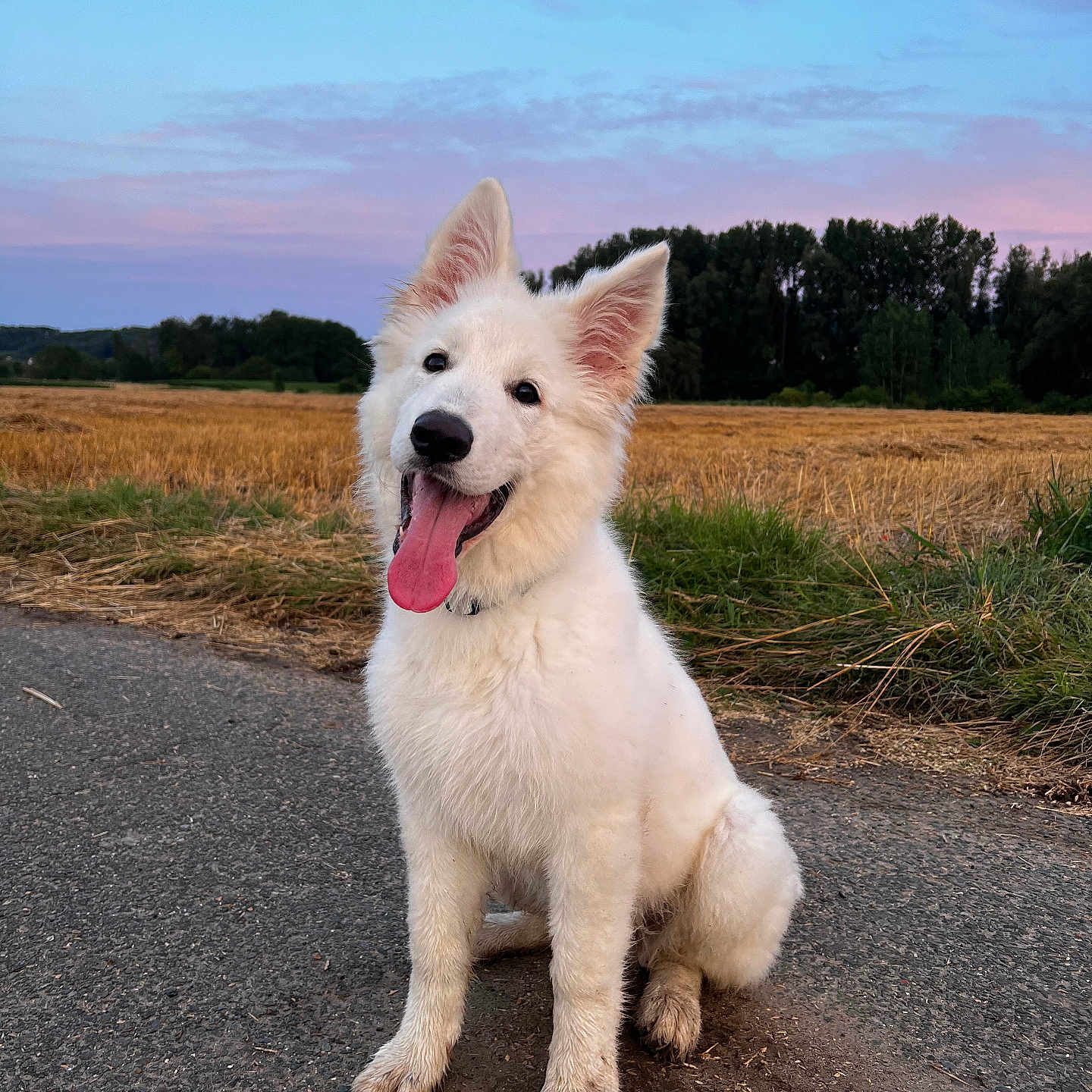 Vayla