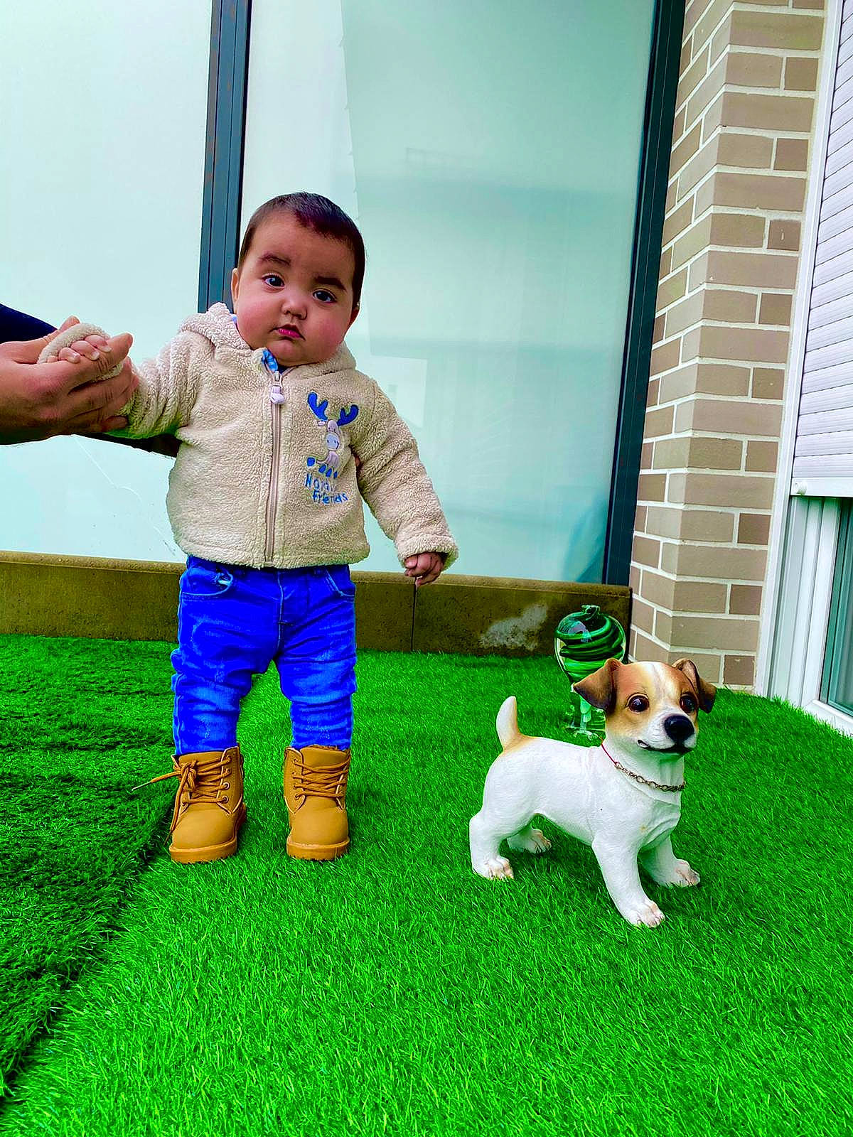 Zulfikar a rejoint le concours — aidez-le/la à gagner de superbes lots ! baby, baby_toddler_clothing, canidae, carnivore, child, companion_dog, dog, dog_breed, dog_supply, hand, home, jack_russell_terrier, mammal, mobile_phone, person, siding, sock, tail, toddler, window_blind