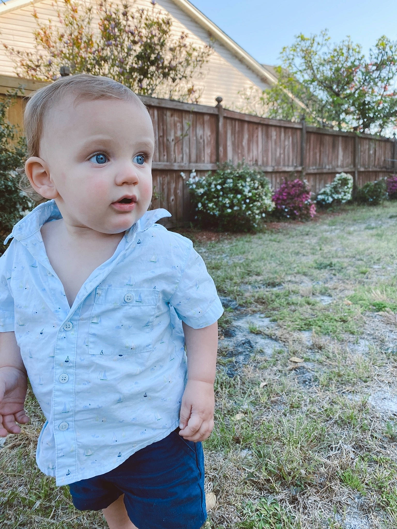 Ledger is registered to the contest to win money with this photo: baby, baby_toddler_clothing, botany, child, flower, garden, grass, grass_family, house, lawn, people_in_nature, person, plant, shorts, shrub, sitting, sky, sleeve, surprise, t_shirt