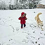 child, dog, snow, winter, red_coat, boots, playful, outdoor, trees, shed, snow_covered, daylight, pet, animal, fun, cold, nature, footprints, motion, fur