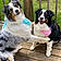 Royce And Molly