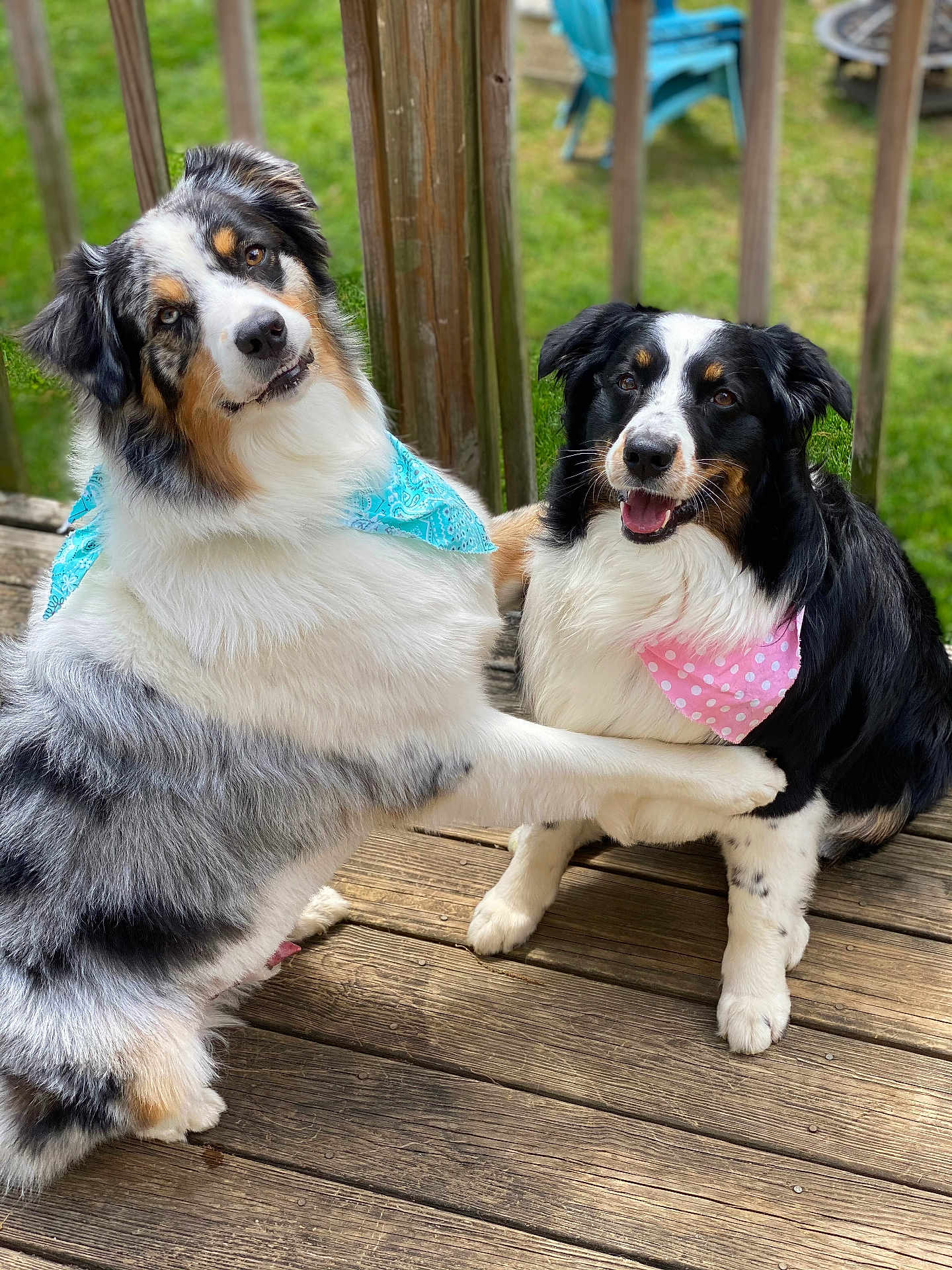 Royce And Molly