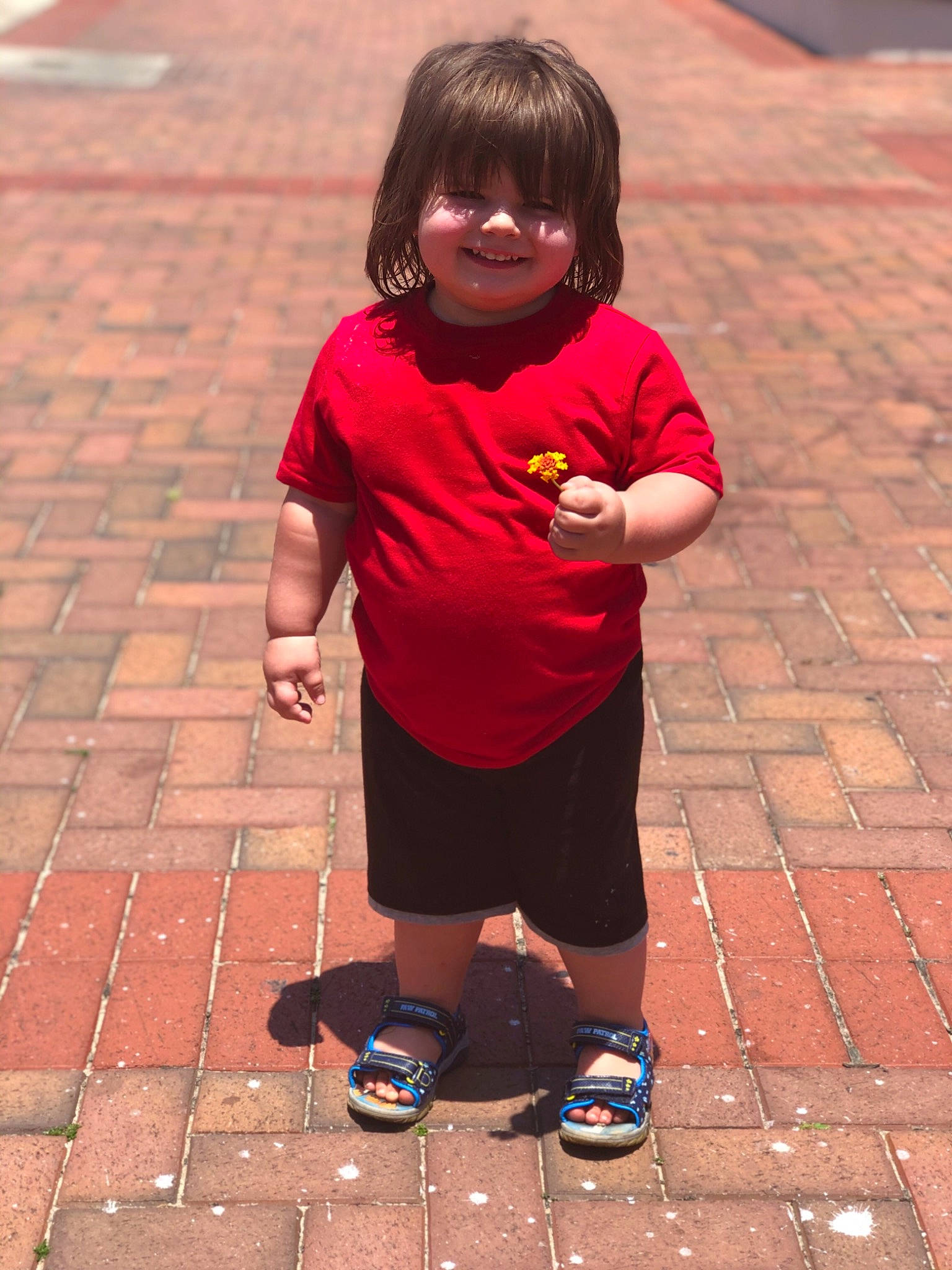 Winston is registered to the contest to win money with this photo: eyewear, happy, human_body, joy, leisure, morning, people, person, pink, red, shorts, sidewalk, sleeve, sneakers, street_fashion, summer, t_shirt, temple, thigh, toddler