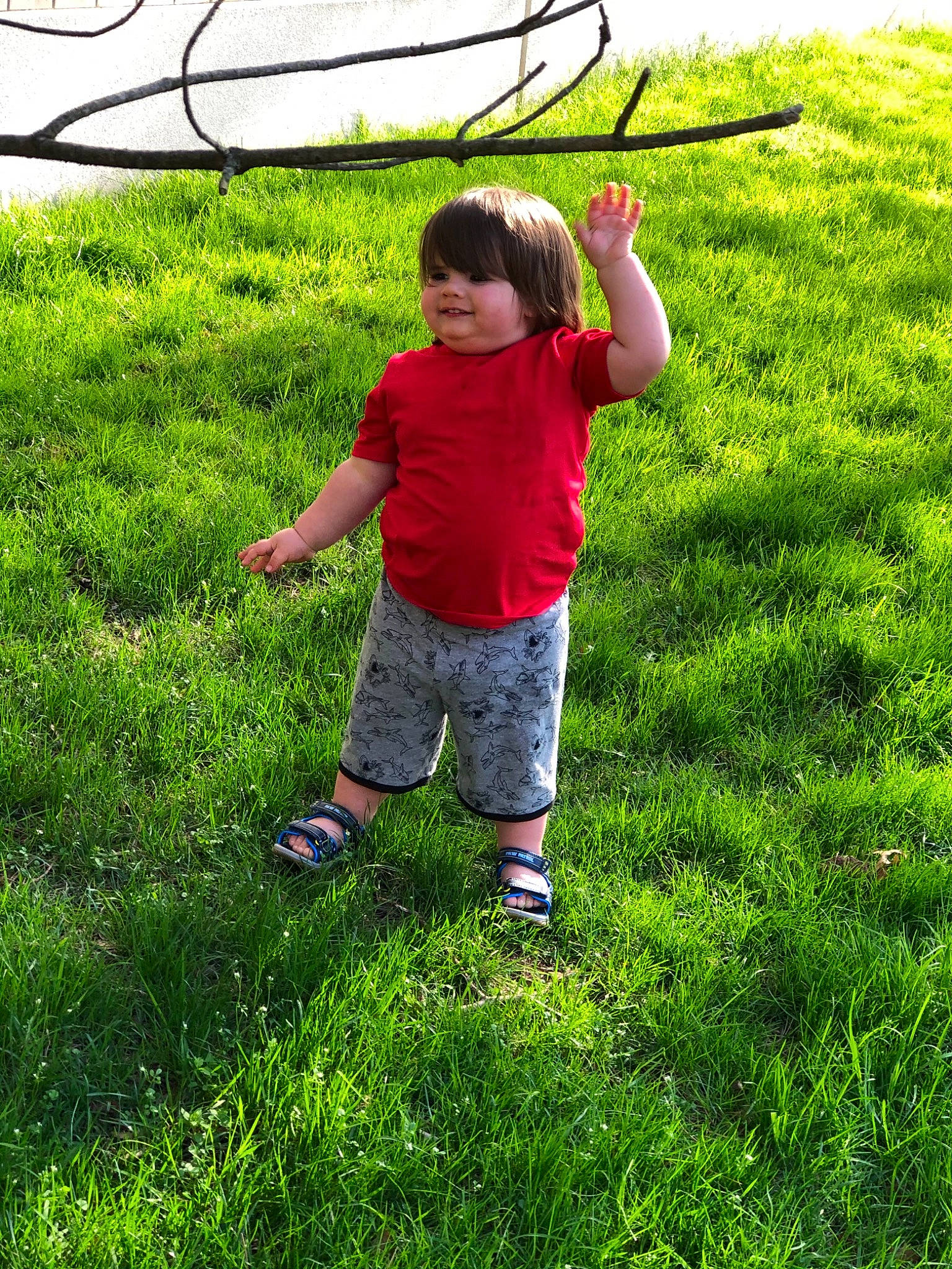 Winston is registered to the contest to win money with this photo: baby_toddler_clothing, child, field, fun, grass, grassland, groundcover, happy, joy, landscape, lawn, leisure, meadow, pasture, people_in_nature, person, plant, recreation, shorts, soil