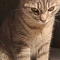 Beatrice E.