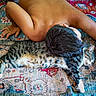 Alpha a rejoint le concours — aidez-le/la à gagner de superbes lots ! animal, bare_skin, cat, child, colorful, comfort, companion, friendship, home, indoor, lying_down, patterned_rug, peaceful, pet, relaxation, resting, rug, snuggling, tabby_cat, texture
