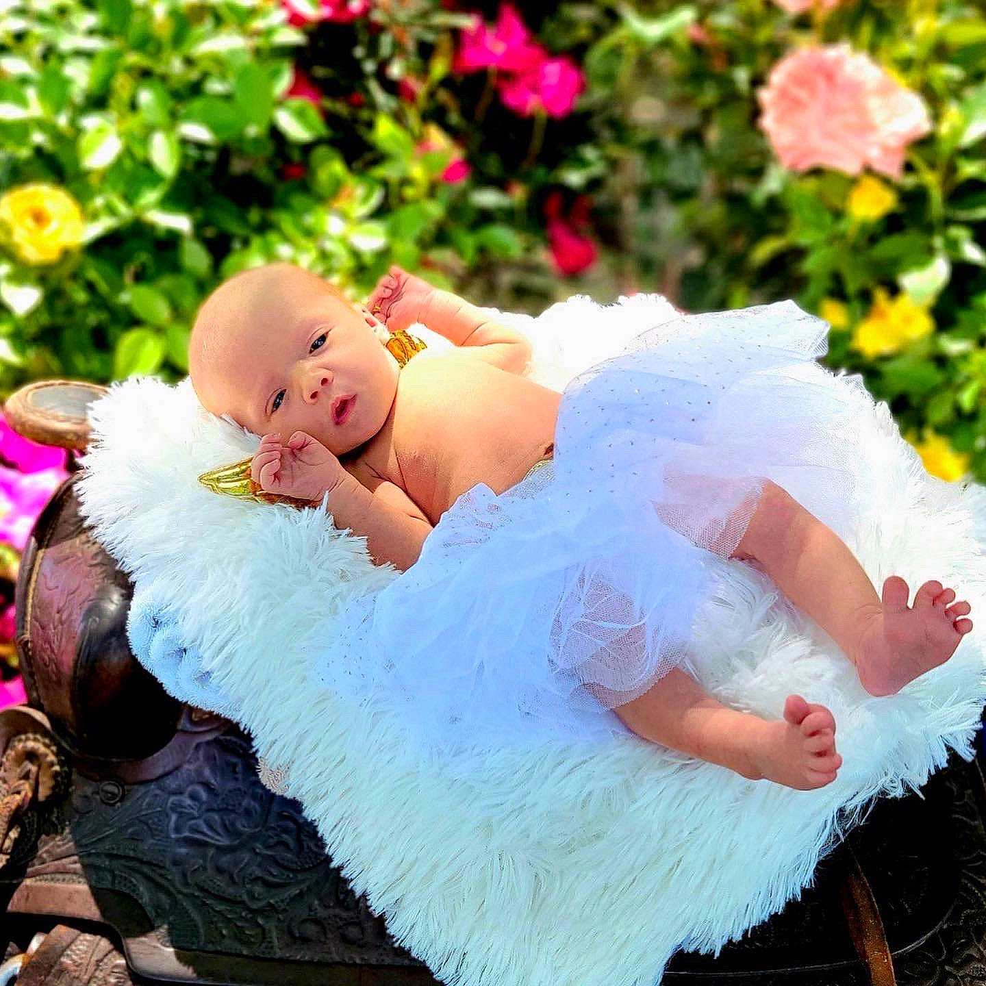 Brylee joined the competition — help win amazing prizes! baby, baby_toddler_clothing, dress, face, facial_expression, flower, grass, happy, headgear, headpiece, interaction, people_in_nature, person, petal, photograph, pink, plant, skin, summer, textile