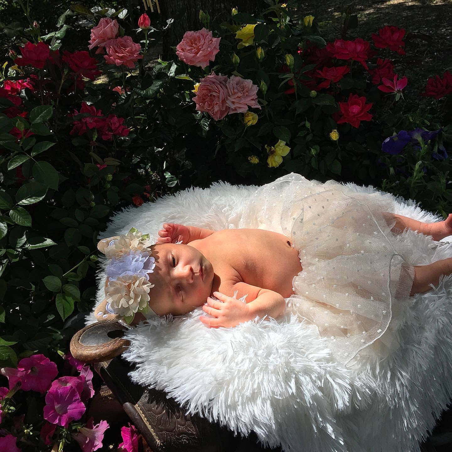 Brylee joined the competition — help win amazing prizes! art, beauty, bridal_clothing, bride, dress, flower, gown, happy, headpiece, headwear, human_body, painting, person, petal, photograph, pink, plant, red, rose, textile