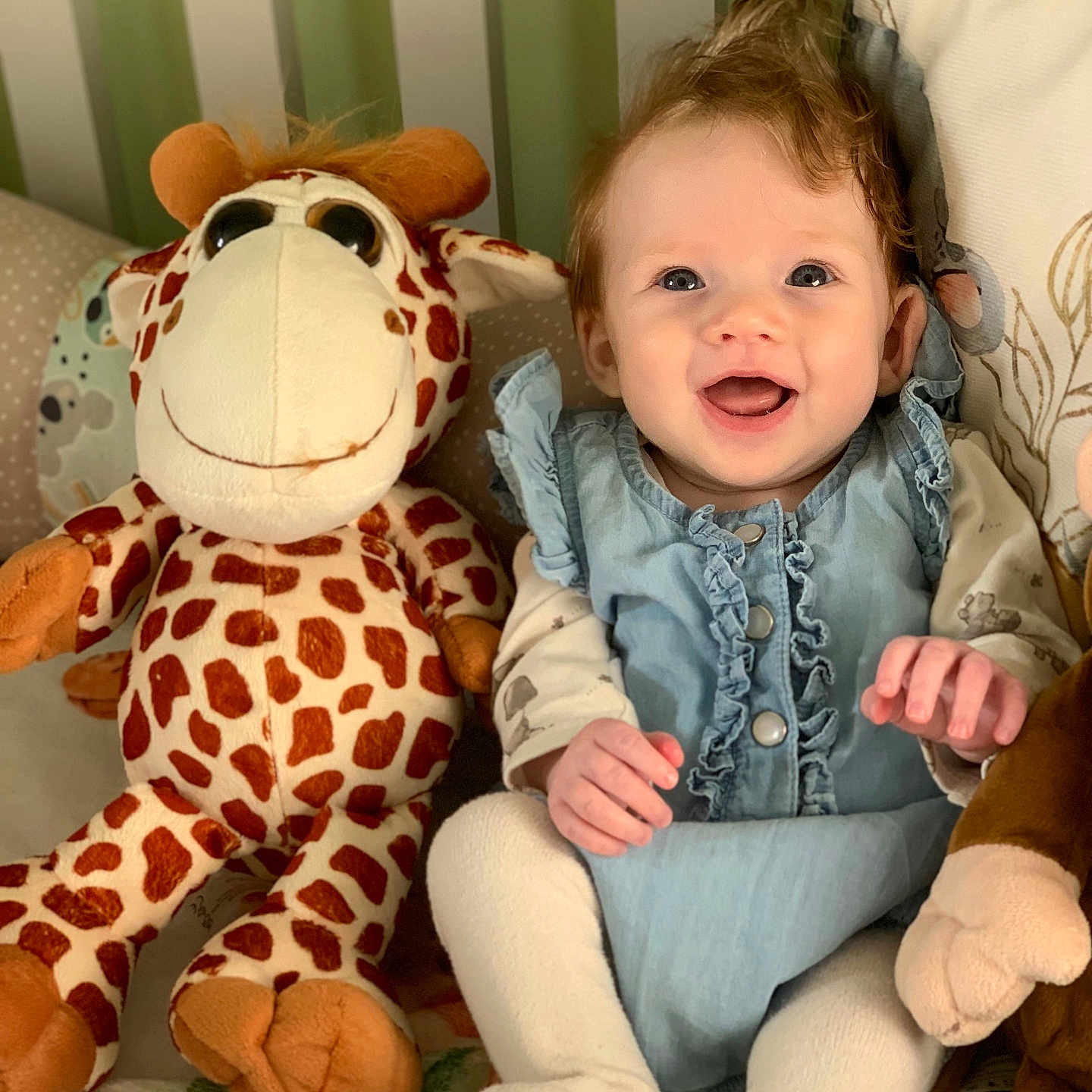 Eve joined the competition — help win amazing prizes! baby, blue_dress, child, cozy, curly_hair, cushion, cute, giraffe, happy, home, indoor, infant, playroom, plush_toy, portrait, seated, smiling, soft_toys, stuffed_animal, white_tights