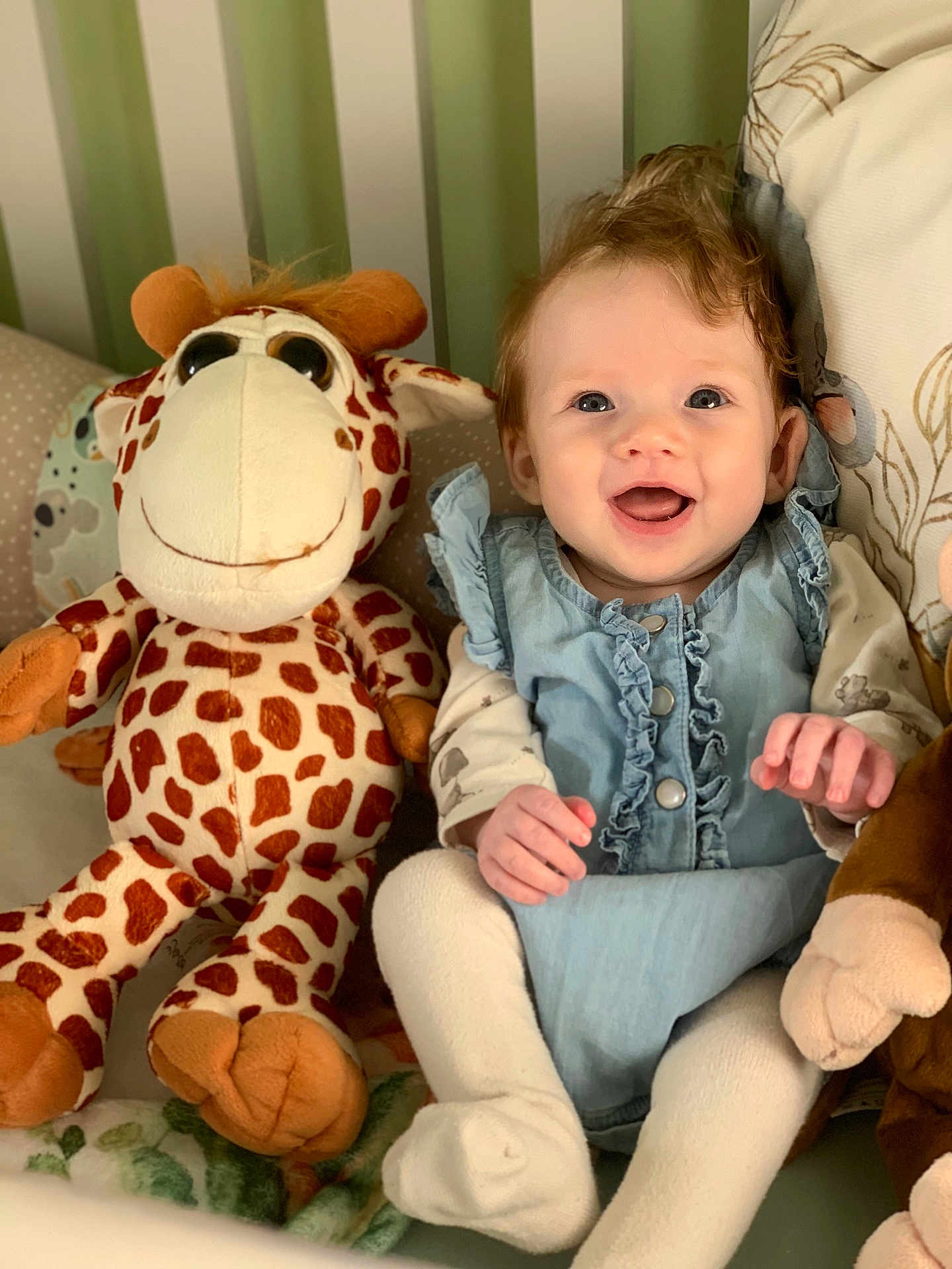Eve joined the competition — help win amazing prizes! baby, child, smiling, stuffed_animal, giraffe, plush_toy, blue_dress, white_tights, curly_hair, happy, indoor, seated, cushion, soft_toys, playroom, portrait, cute, infant, cozy, home