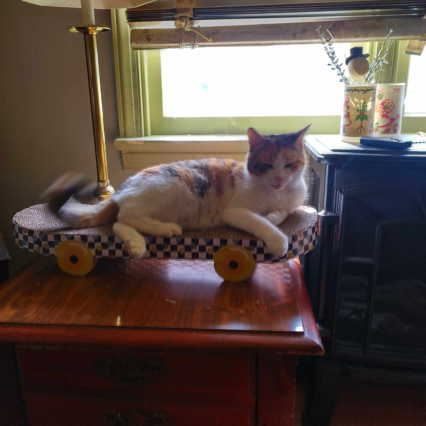 Lil Cat