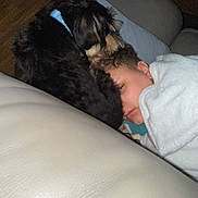 Bailey Jean joined the competition — help win amazing prizes! blanket, blue_collar, brown_hair, closeup, comfort, couch, cozy, curly_hair, dog, fur, home, indoor, leather_couch, person, pet, pillow, relaxation, resting, sleeping, snuggling