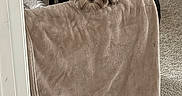 Bailey Jean joined the competition — help win amazing prizes! animal, beige, black_fur, blanket, carpet, comfort, cozy, cute, dog, domestic, furniture, home, household_items, indoor, orange_slippers, peeking, pet_carrier, relaxing, resting, small_dog