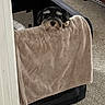 animal, beige, black_fur, blanket, carpet, comfort, cozy, cute, dog, domestic, furniture, home, household_items, indoor, orange_slippers, peeking, pet_carrier, relaxing, resting, small_dog