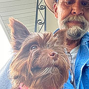 Littles is registered to the contest to win money with this photo: dog, man, beard, hat, sunglasses, collar, pink_collar, brown_fur, closeup, selfie, porch, iron_rail, ceiling, outdoor, whiskers, ear, mustache, denim_shirt, senior_person, pet_owner