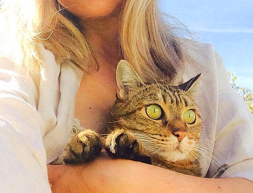 Penélope a rejoint le concours — aidez-le/la à gagner de superbes lots ! carnivore, cat, comfort, domestic_short_haired_cat, ear, eyelash, fawn, felidae, fur, gesture, grass, happy, hug, iris, nail, paw, sitting, small_to_medium_sized_cats, whiskers, wildlife