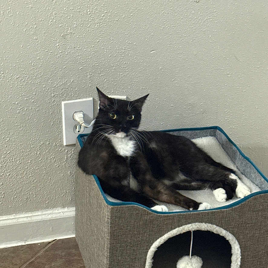Hubert