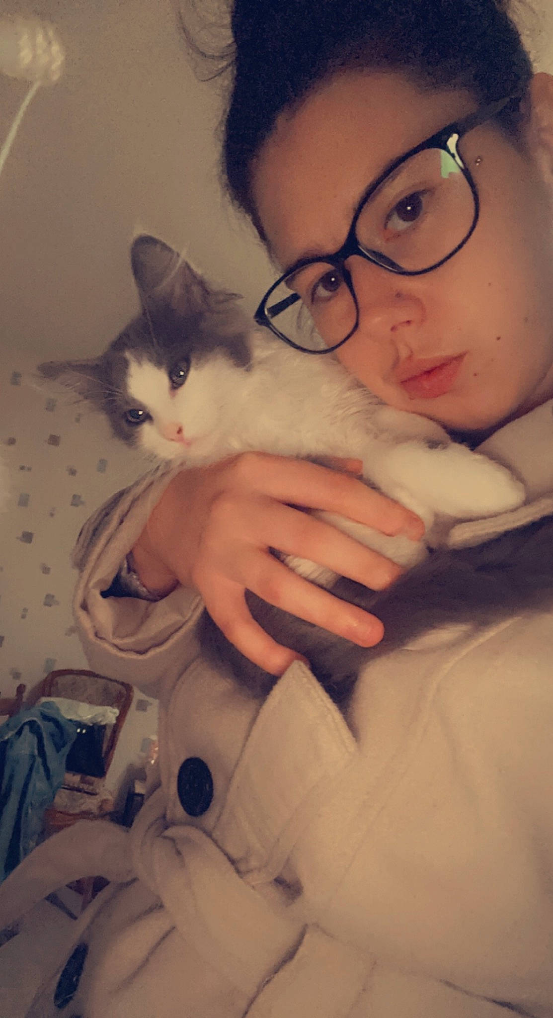 Tiyana a rejoint le concours — aidez-le/la à gagner de superbes lots ! carnivore, cat, comfort, ear, eye, eyebrow, felidae, gesture, glasses, hair, hand, head, iris, jaw, nose, organ, skin, small_to_medium_sized_cats, vision_care, whiskers