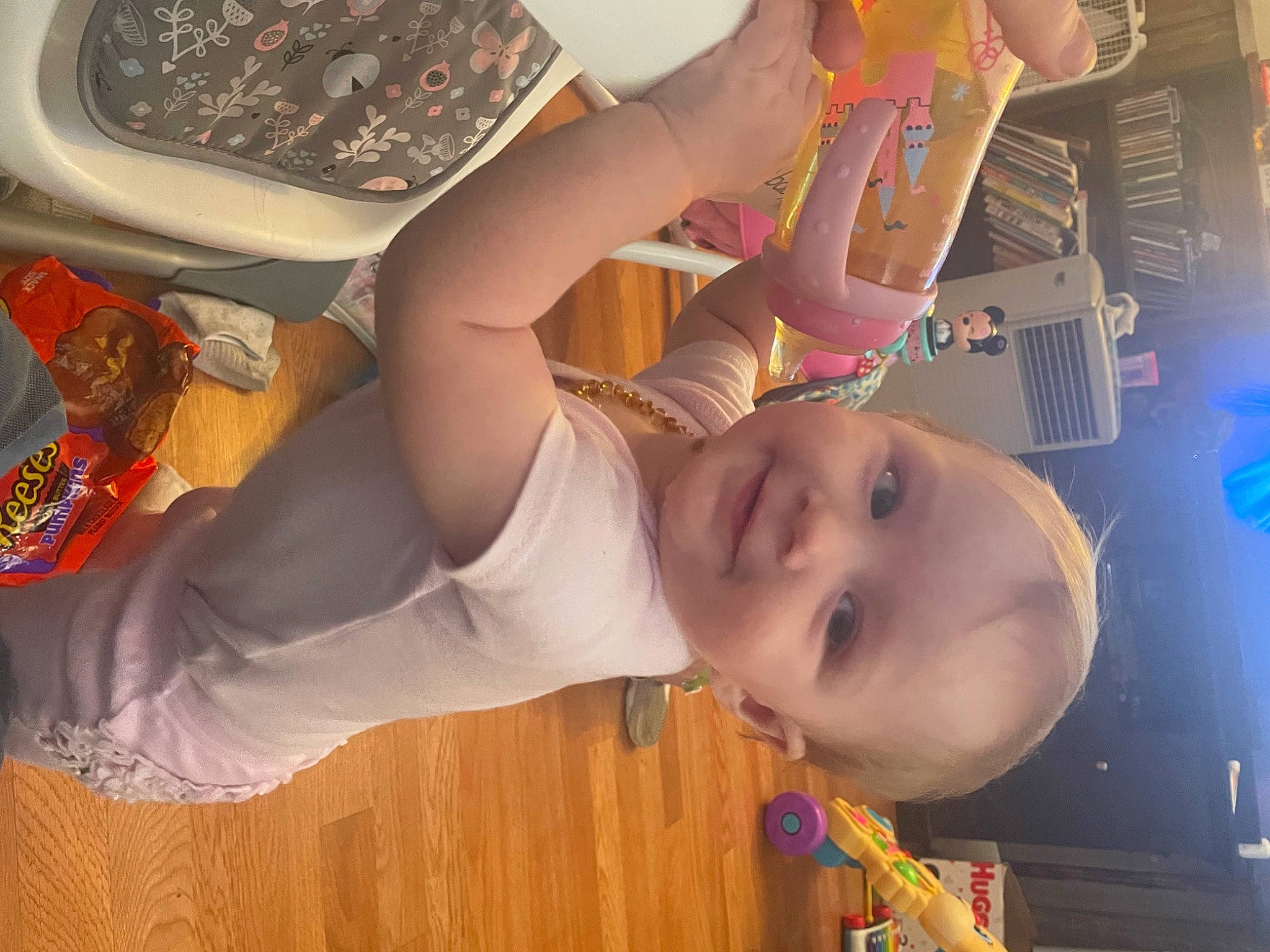 Madyson is registered to the contest to win money with this photo: arm, baby, baby_products, baby_toddler_clothing, chest, eyewear, fun, glasses, happy, joy, mouth, neck, nose, orange, person, room, smile, sunglasses, t_shirt, toddler