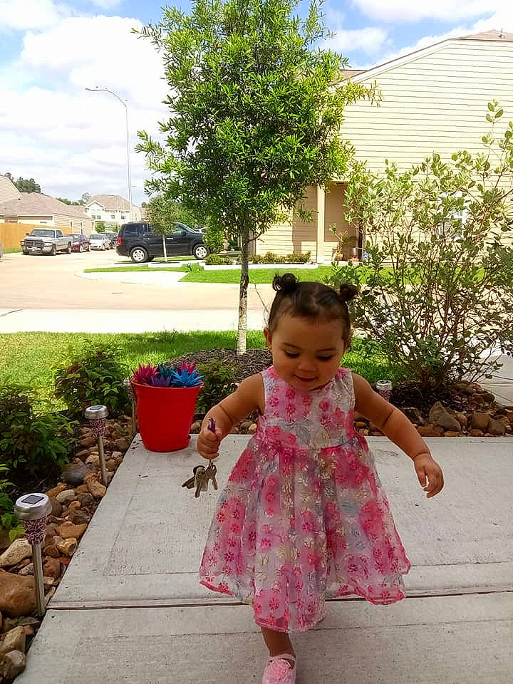 Za'Niah joined the competition — help win amazing prizes! child, day, dress, flower, fun, girl, person, pink, plant, play, recreation, smile, summer, toddler, tree, vacation