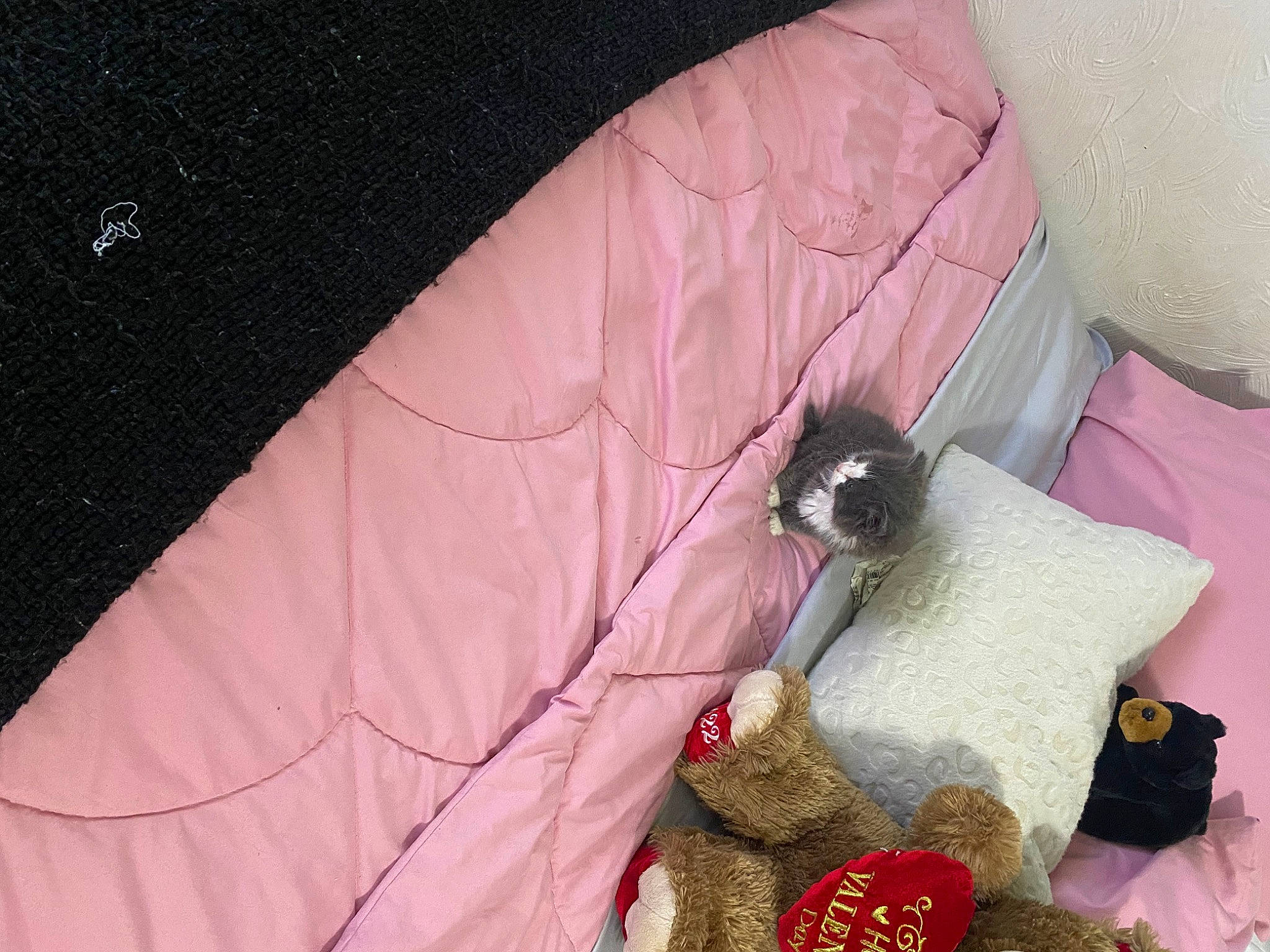 Nova joined the competition — help win amazing prizes! comfort, craft, fashion_accessory, fashion_design, human_leg, knee, linens, magenta, nail, pattern, peach, room, sewing, sleeve, thigh, wrist