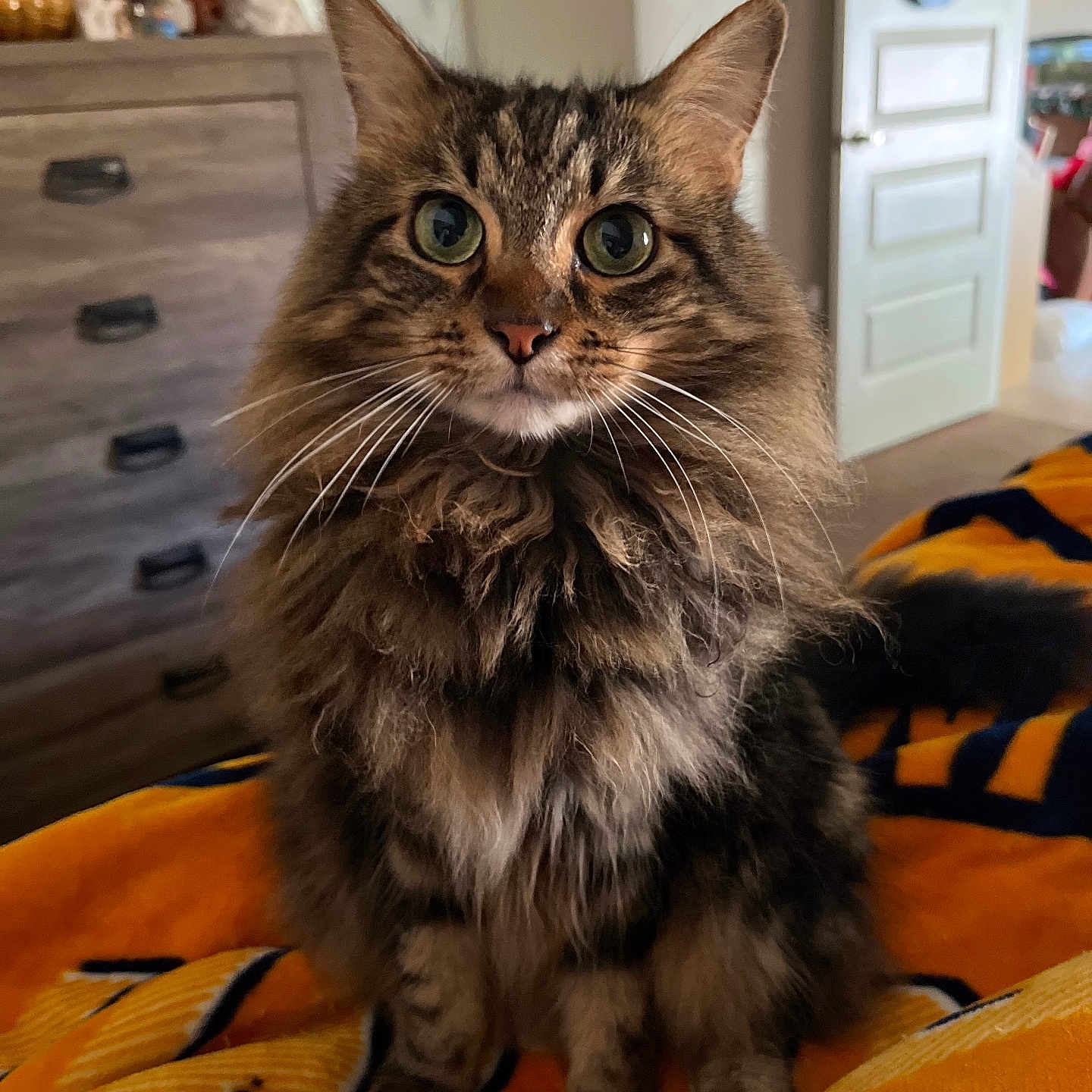 Precious