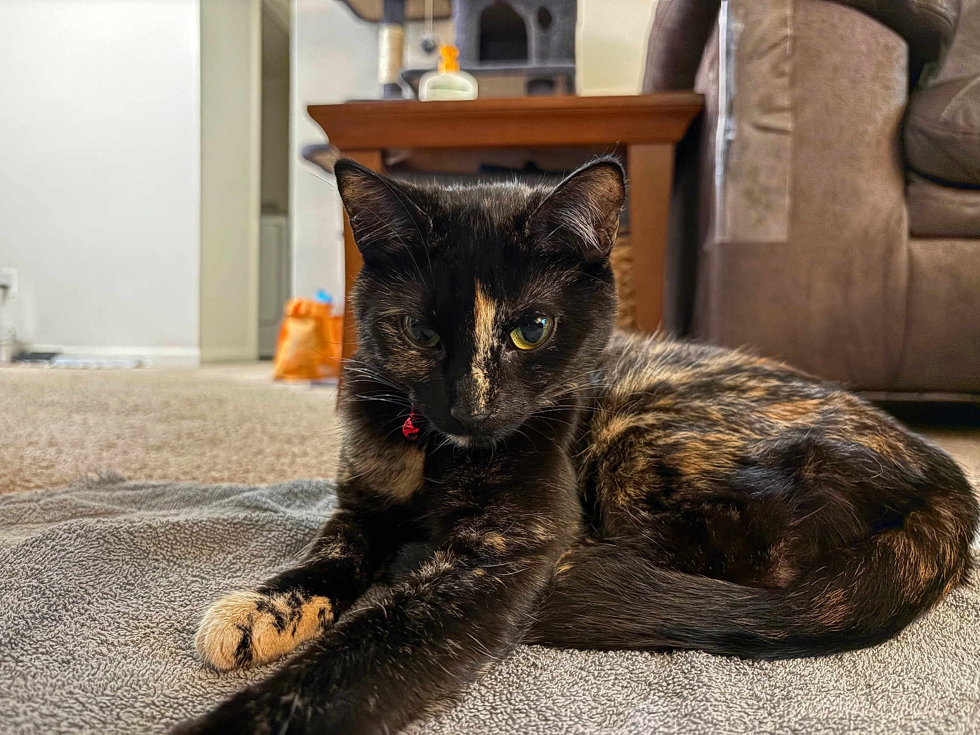 Ember