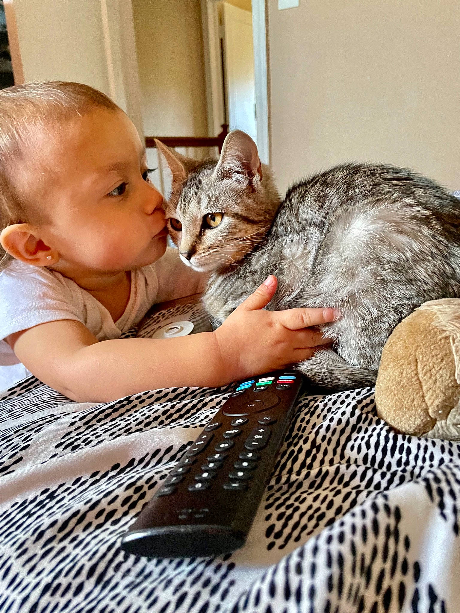 Leo joined the competition — help win amazing prizes! baby, baby_toddler_clothing, carnivore, cat, child, claw, comfort, couch, domestic_short_haired_cat, ear, facial_expression, felidae, fur, mammal, paw, sitting, small_to_medium_sized_cats, toddler, vertebrate, whiskers