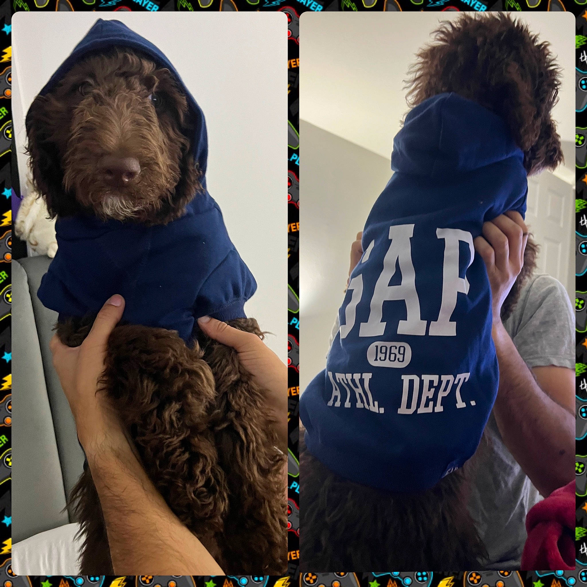 Enzo is registered to the contest to win money with this photo: adaptation, child, collage, fashion_accessory, font, fun, fur, grass, hairstyle, hood, hoodie, interaction, jersey, outerwear, pattern, photo_caption, sleeve, sportswear, t_shirt, textile