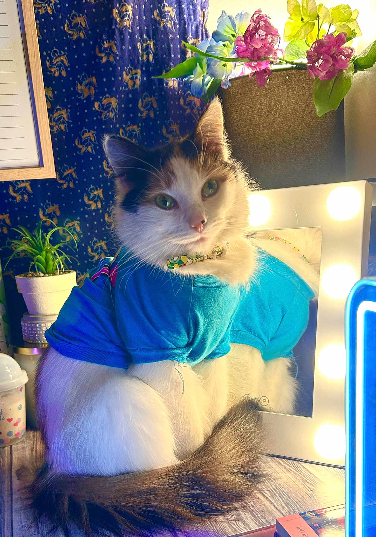 Mia
