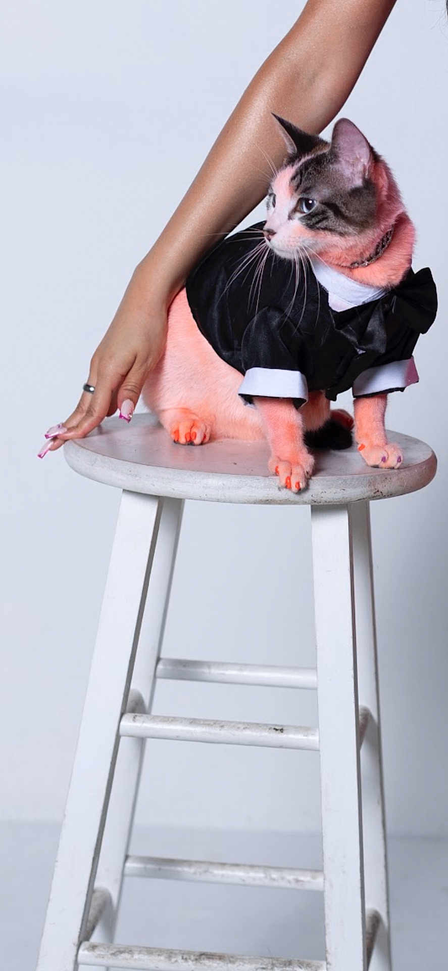 Figaro