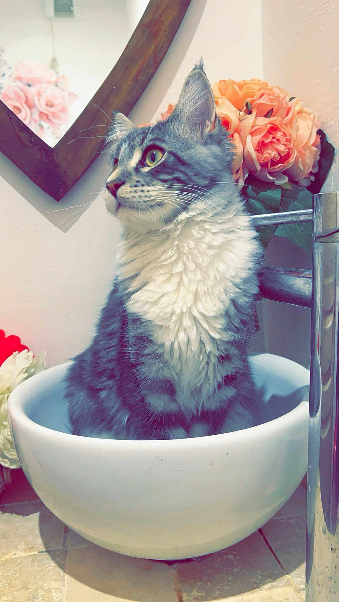 Yuki