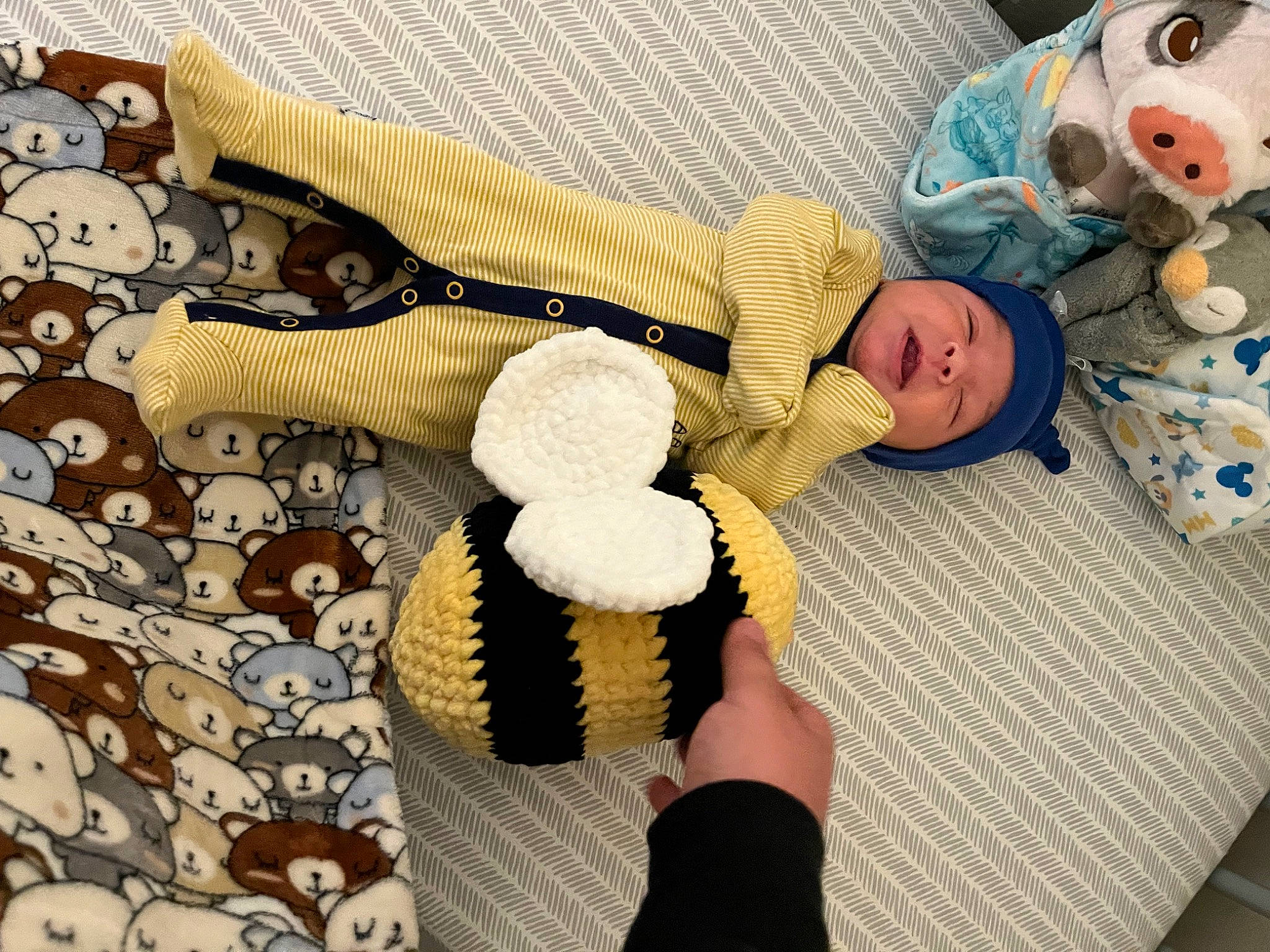 Mateo joined the competition — help win amazing prizes! art, baby, baby_sleeping, child, comfort, fashion_accessory, fur, glove, headgear, headwear, linens, pattern, person, plant, plush, product, room, stuffed_toy, toddler, toy