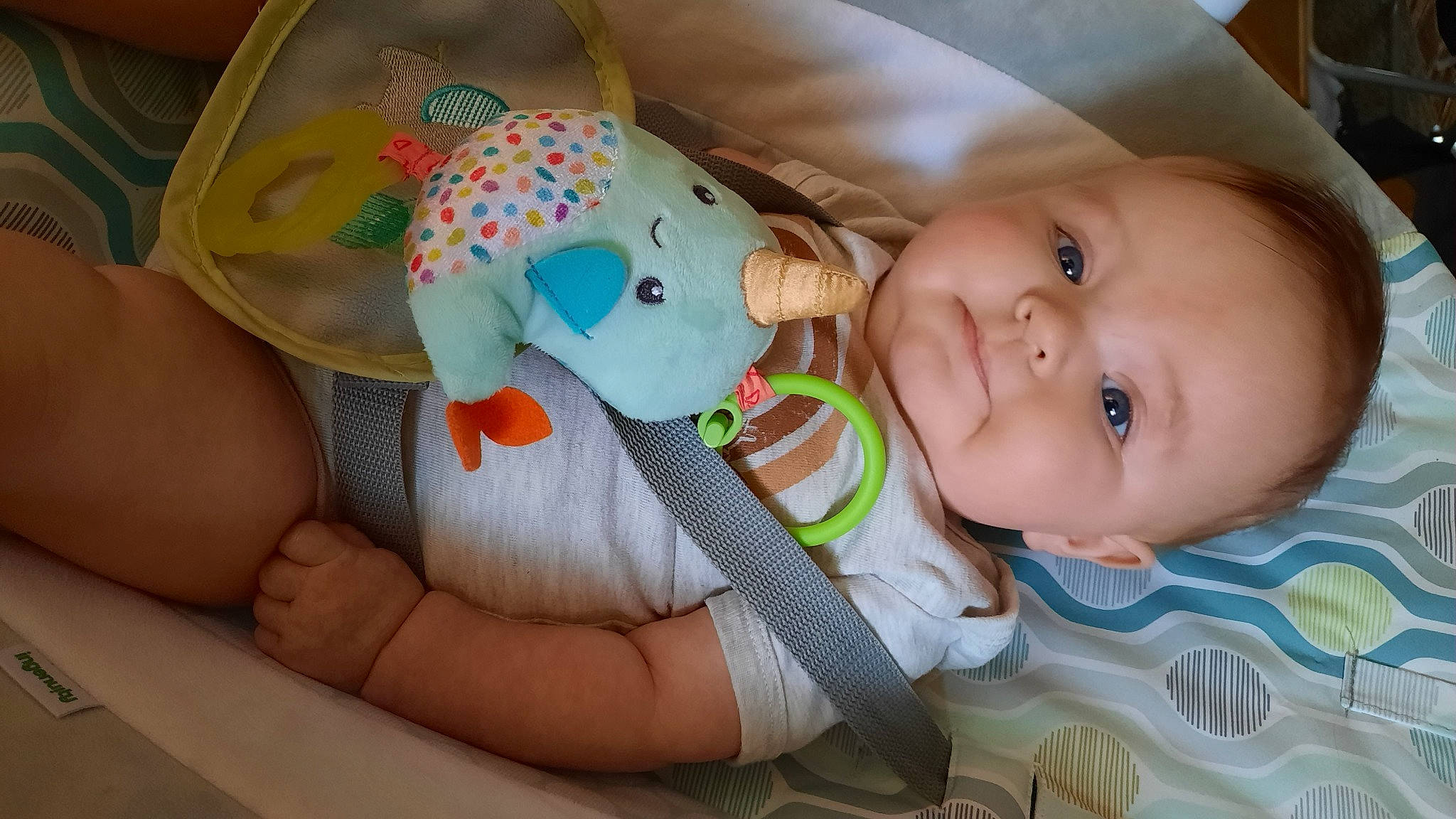 Jacob is registered to the contest to win money with this photo: baby, baby_products, baby_safety, baby_toddler_clothing, baby_toys, cheek, child, comfort, fun, happy, head, linens, person, plush, skin, smile, stuffed_toy, teddy_bear, thumb, toddler