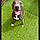 Abby