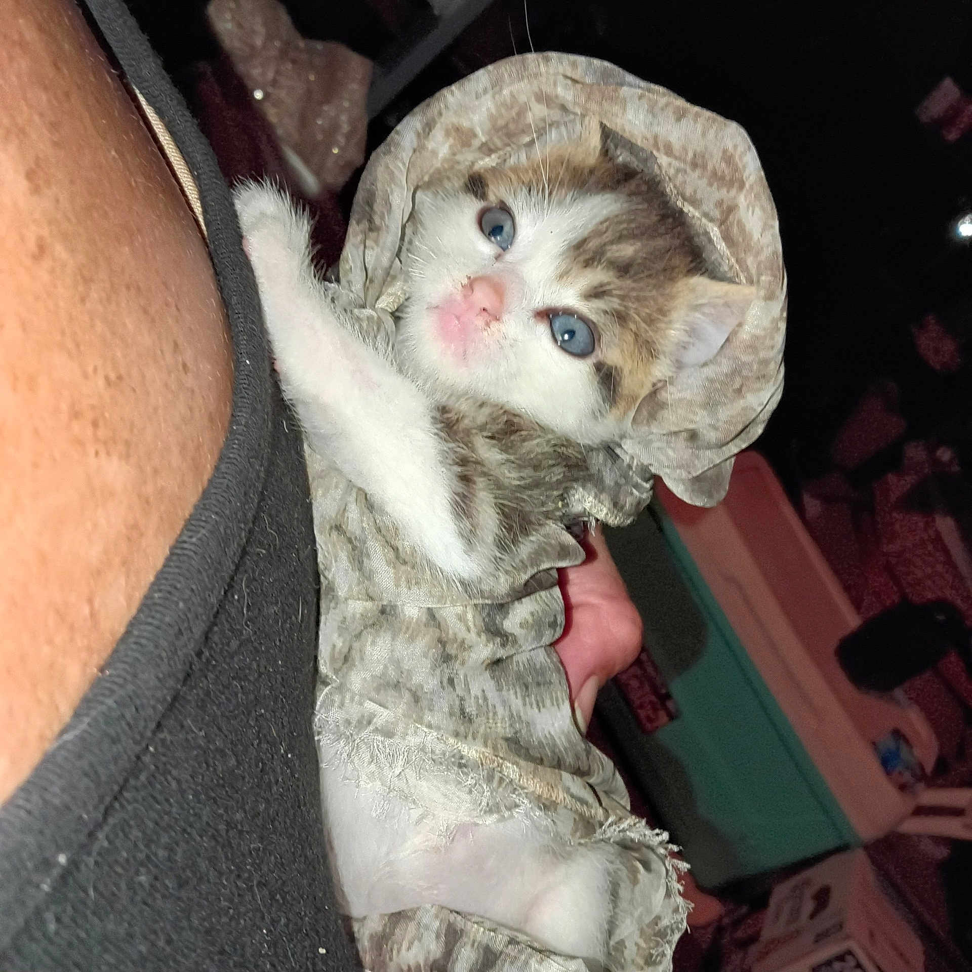 Baby