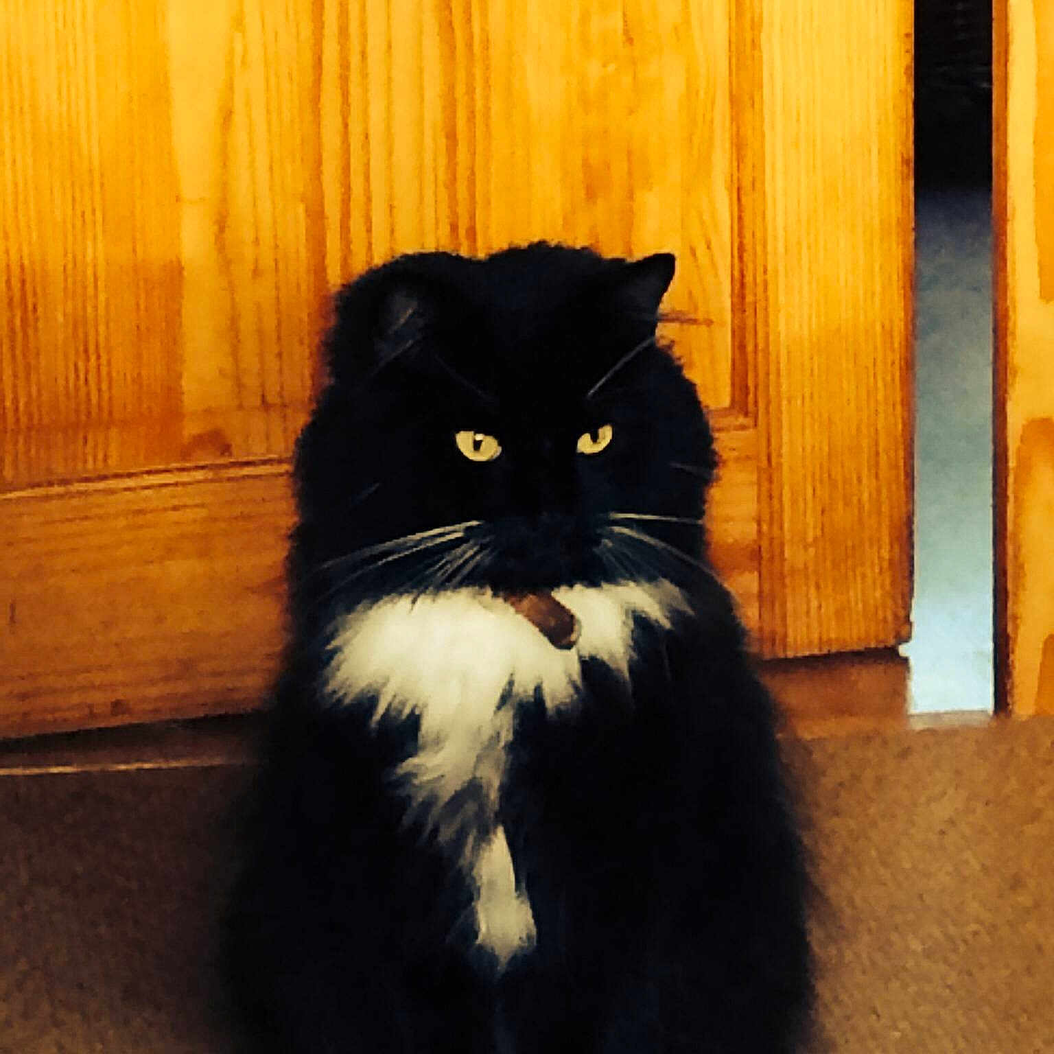 Louis is registered to the contest to win money with this photo: