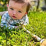 baby, child, grass, outdoor, toy, beads, greenery, face, portrait, curious, sunlight, nature, playing, young, person, plaid_shirt, head, closeup, crawling, daytime