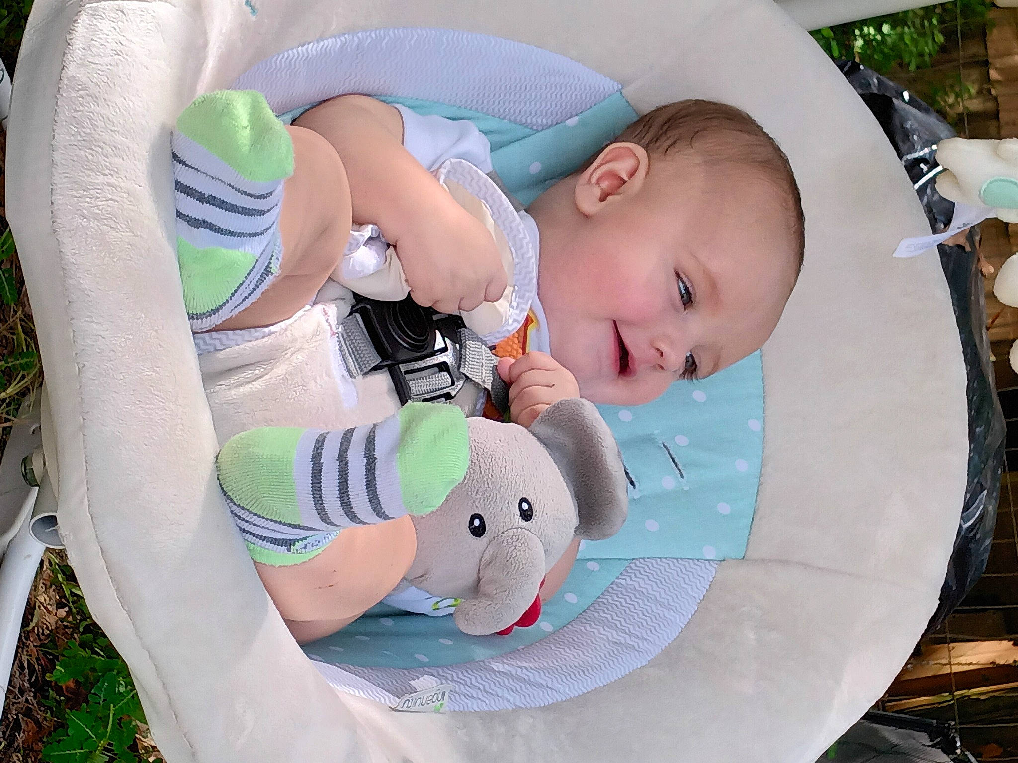 Terrence is registered to the contest to win money with this photo: baby, baby_carriage, baby_products, baby_safety, baby_sleeping, baby_toddler_clothing, cheek, child, comfort, grass, green, headgear, linens, mammal, person, product, sitting, skin, textile, toddler