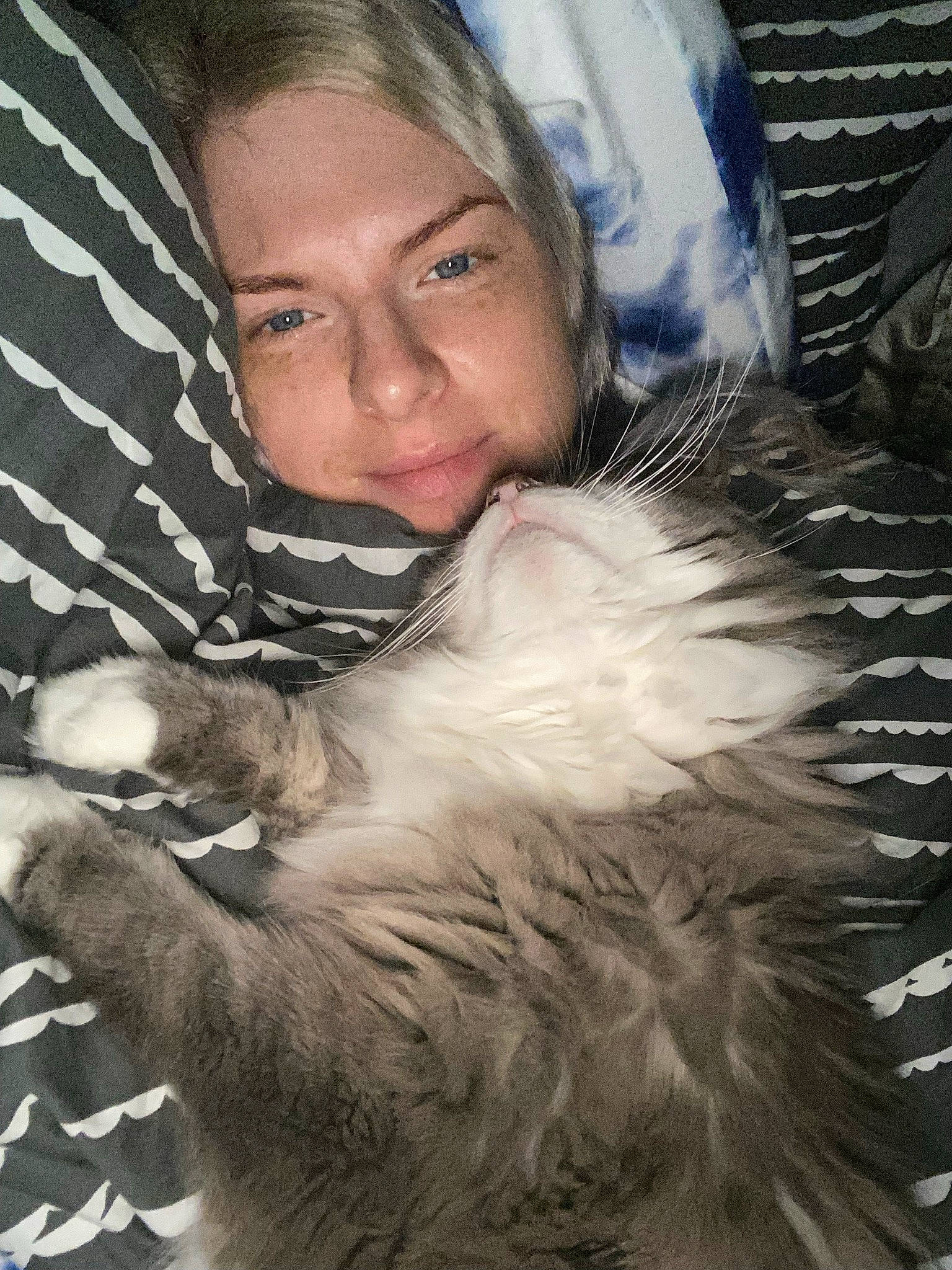 Katara joined the competition — help win amazing prizes! canidae, carnivore, cat, comfort, companion_dog, dog_breed, ear, eye, facial_expression, feather, felidae, fur, fur_clothing, gesture, happy, skin, small_to_medium_sized_cats, smile, snout, whiskers