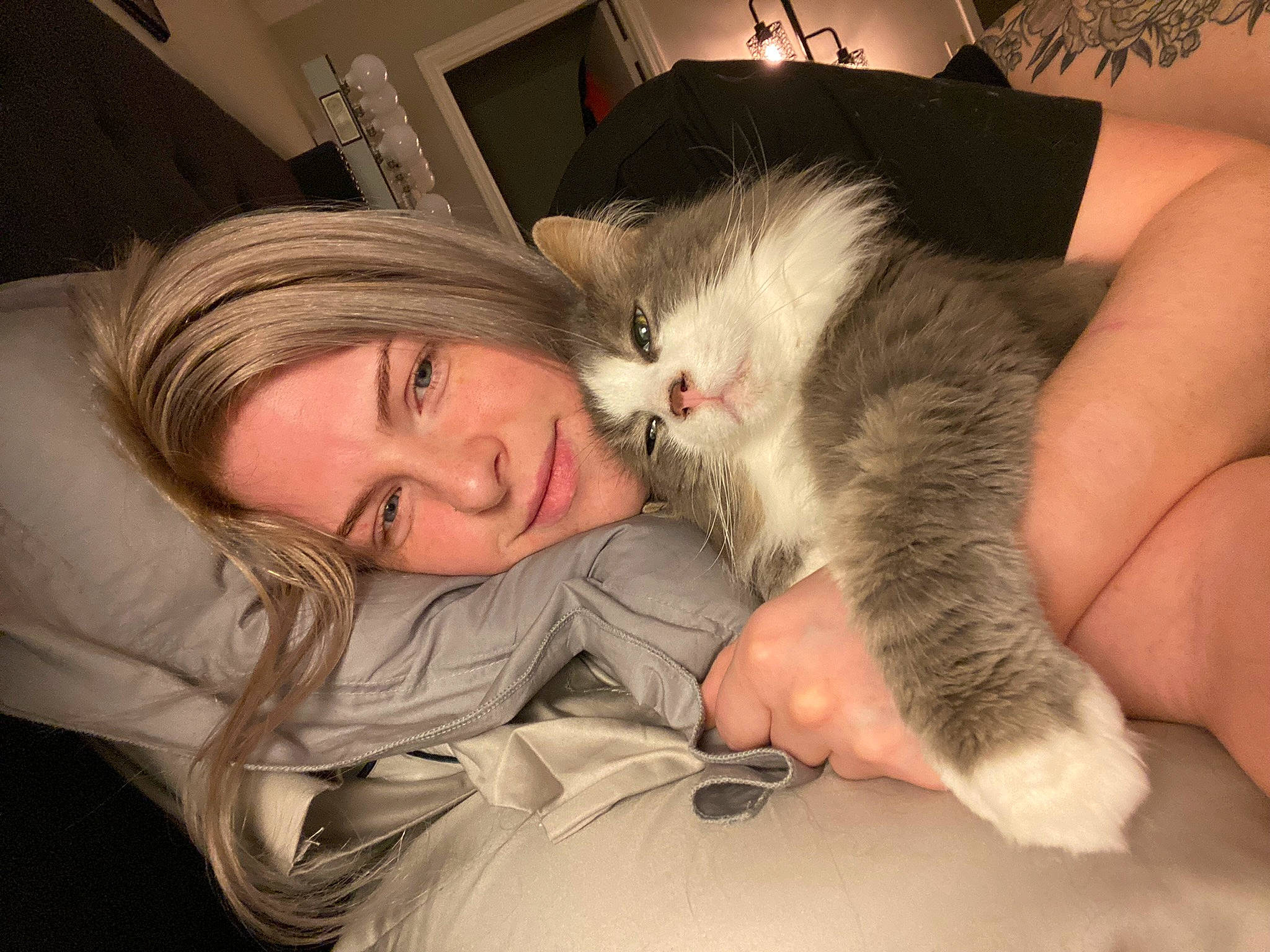 Katara is registered to the contest to win money with this photo: carnivore, cat, comfort, companion_dog, domestic_short_haired_cat, ear, felidae, finger, fur, gesture, hand, happy, lap, nap, paw, sitting, small_to_medium_sized_cats, smile, tail, whiskers