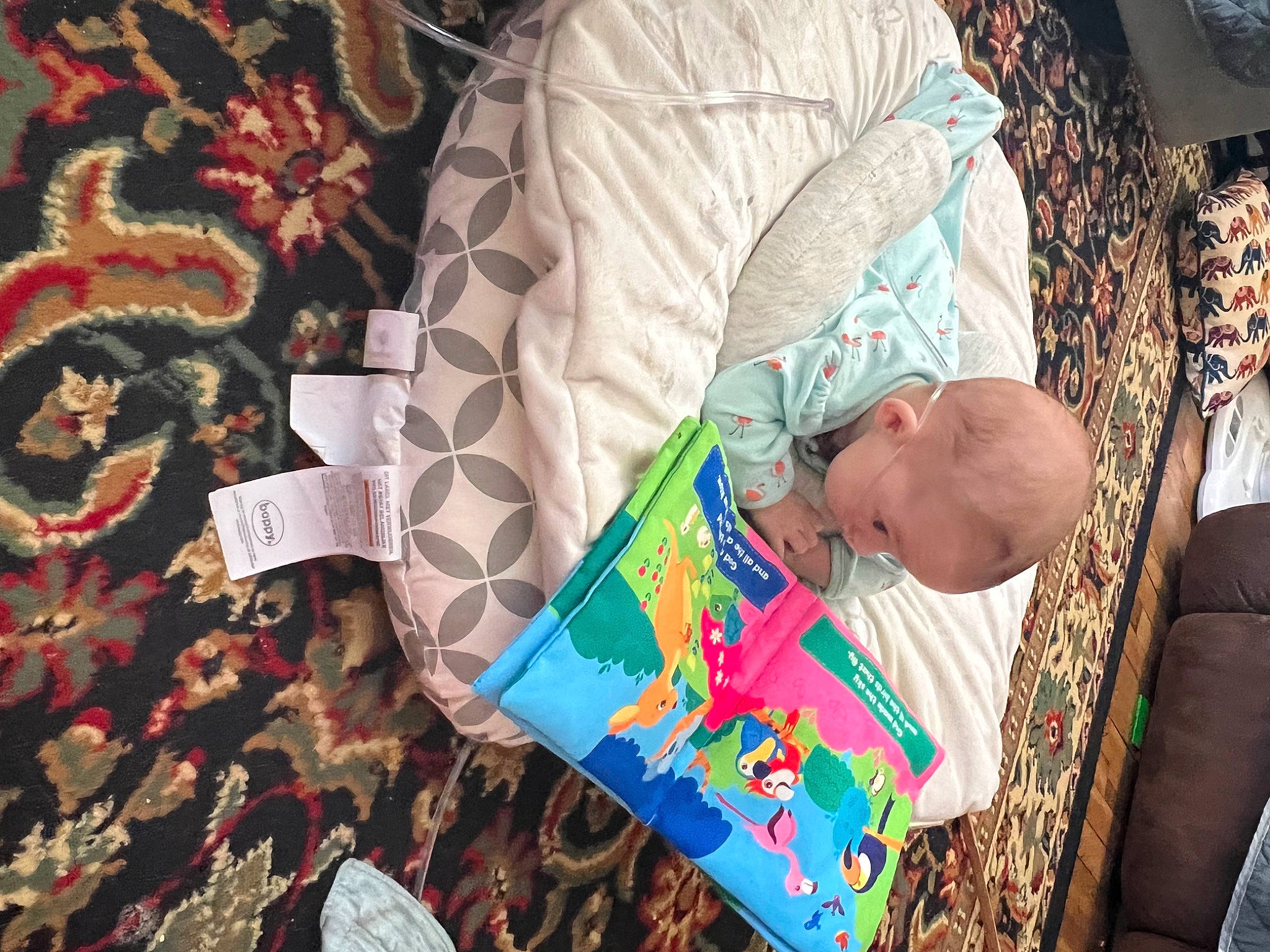 Makayla is registered to the contest to win money with this photo: art, baby, baby_products, baby_toddler_clothing, brown, carmine, comfort, couch, fashion_accessory, flooring, fun, leaf, linens, pattern, person, room, toddler, tree, visual_arts, wood