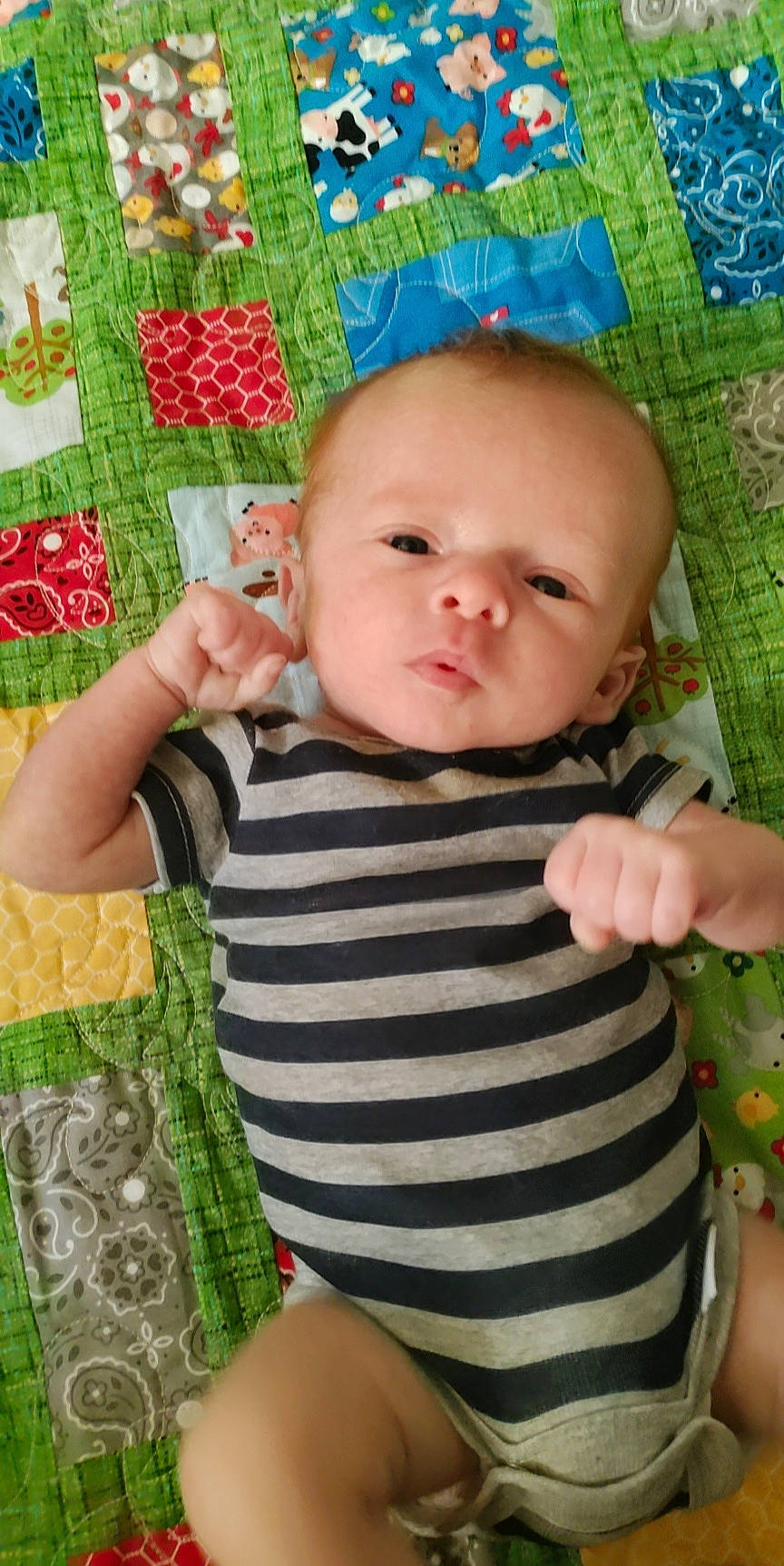 Terrence is registered to the contest to win money with this photo: baby, baby_products, baby_toddler_clothing, cheek, child, eye, finger, grass, green, happy, head, iris, linens, nose, pattern, person, product, skin, sleeve, textile