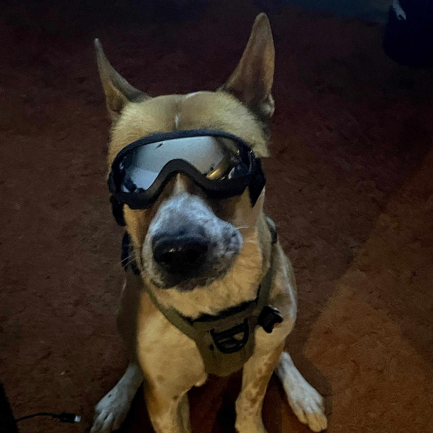 Ares