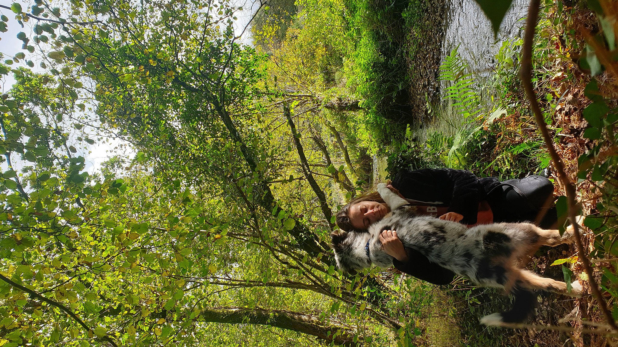 Ryles a rejoint le concours — aidez-le/la à gagner de superbes lots ! branch, canidae, carnivore, dog, forest, hunting_dog, large_munsterlander, plant, pointing_breed, small_munsterlander, sporting_group, tree, woodland