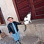 child, boy, cat, hat, leather_jacket, sneakers, cobblestone, stone, door, pet, animal, outdoor, street, cute, smile, person, standing, touching, curly_hair, casual_clothing