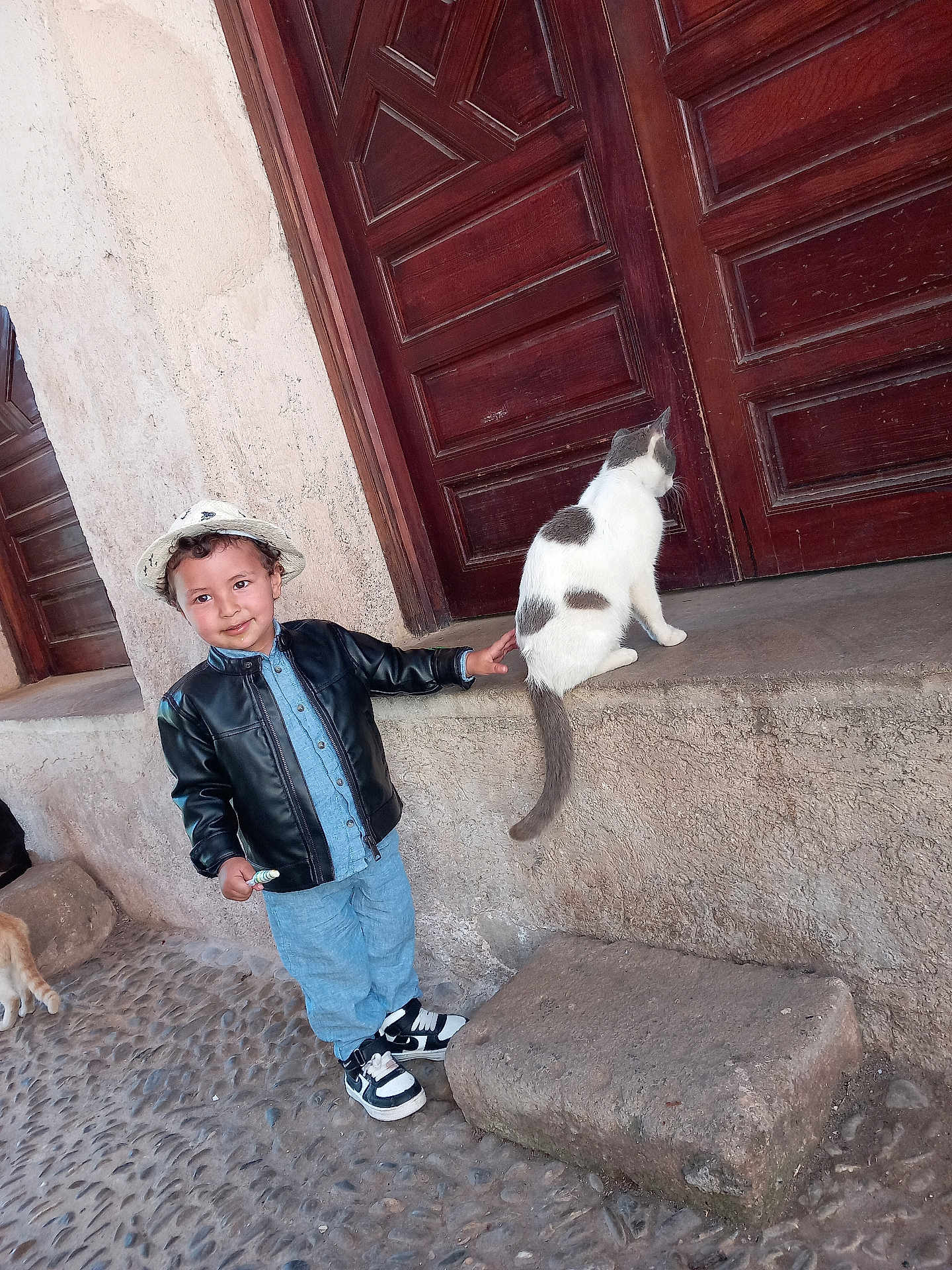 Soulaiman Jirari a rejoint le concours — aidez-le/la à gagner de superbes lots ! child, boy, cat, hat, leather_jacket, sneakers, cobblestone, stone, door, pet, animal, outdoor, street, cute, smile, person, standing, touching, curly_hair, casual_clothing