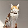 Pilou participe au concours pour gagner de l'argent avec cette photo : cat, orange_and_white, sitting, indoor, sunlight, wooden_surface, pet, feline, collar, portrait, domestic_animal, whiskers, ears, fur, alert, animal, quiet, calm, shadow, light